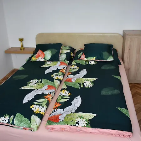 Ládi *